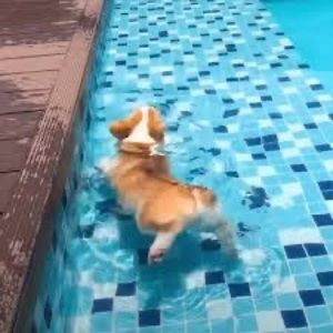 Meet your Posher, Maddie